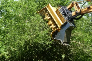 BFH 201 forestry mulcher