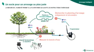 Smart irrigation