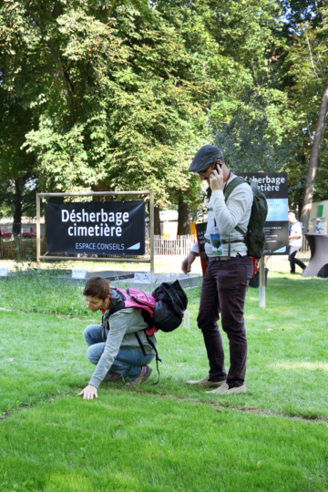 Salonvert Espace Conseils désherbage cimetière